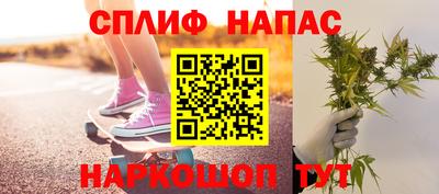 мдпв Дубна