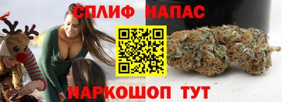 мдпв Дубна