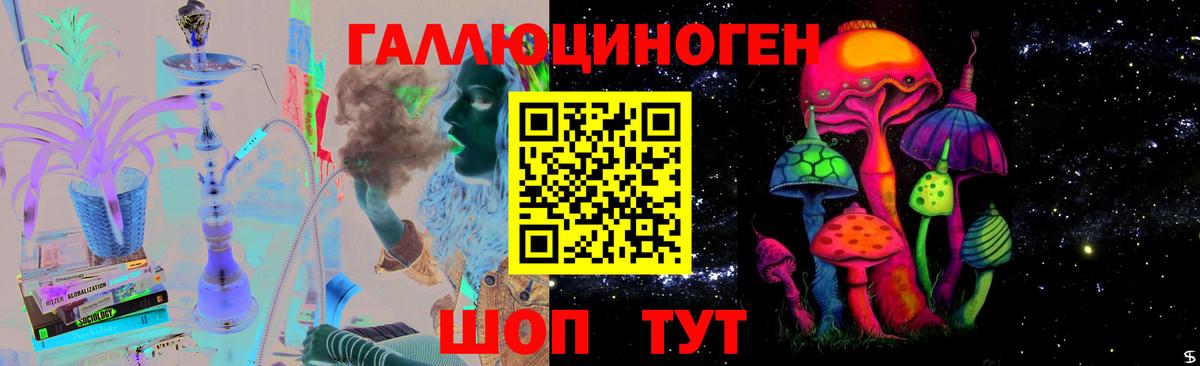 Псилоцибиновые грибы Psilocybe Мелеуз